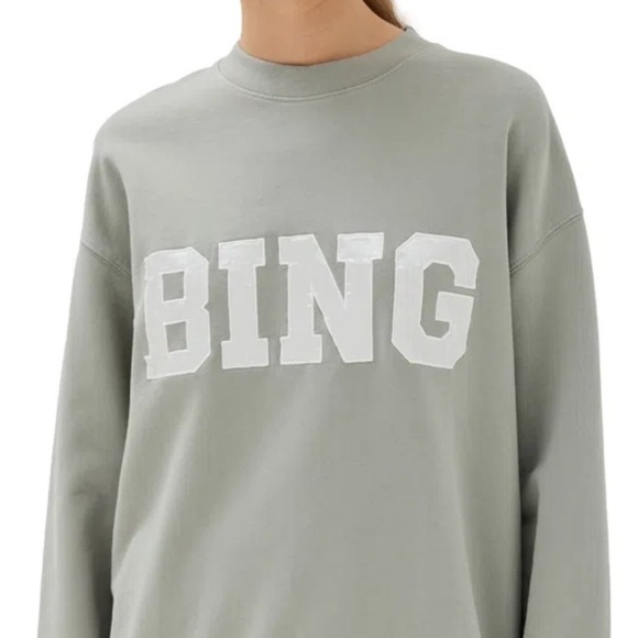 Anine Bing Tyler Satin Bing Sweatshirt in Sage - Picture 5 of 11
